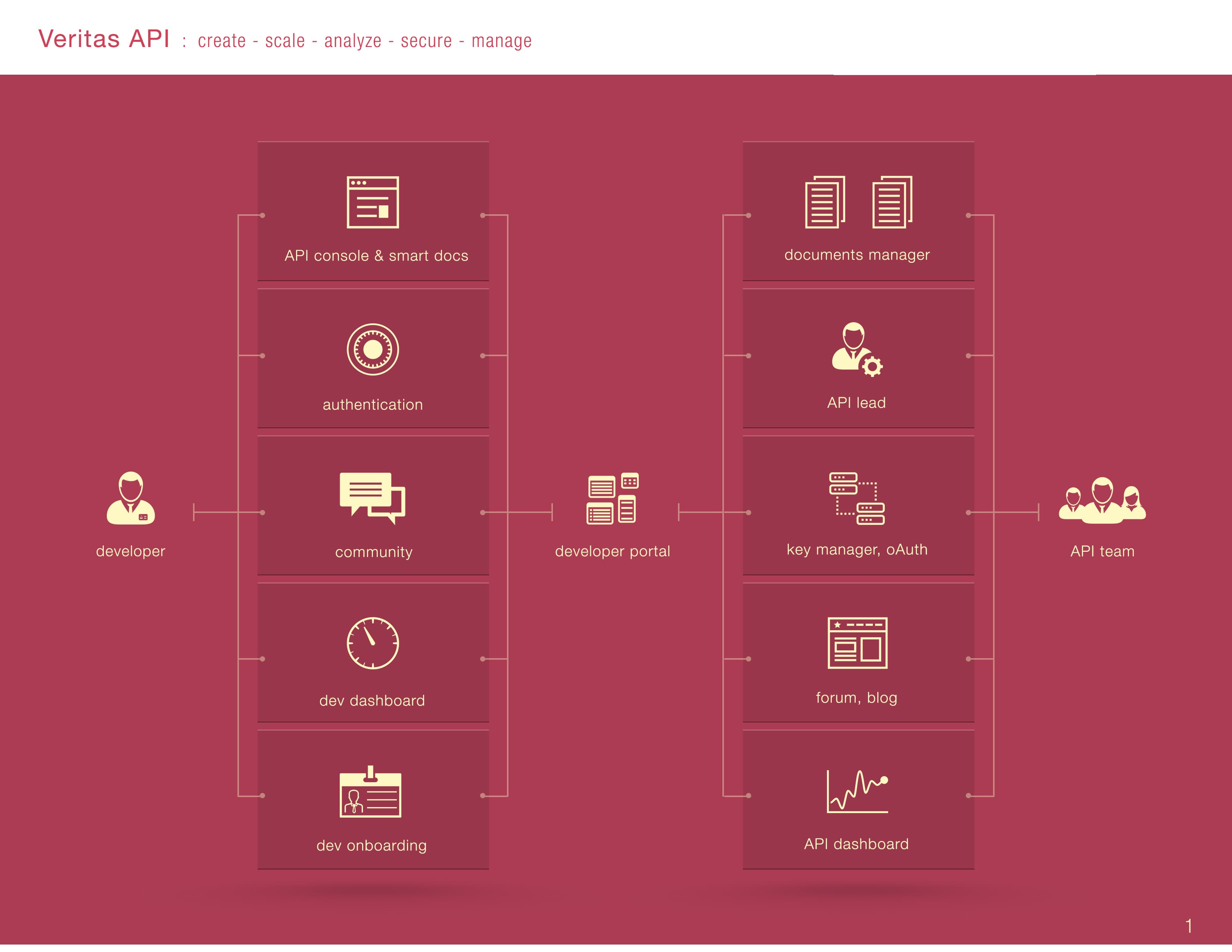 Infographic mapping the Veritas API ecosystem between developers, the developer portal, and the API team.